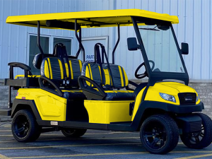 golf cart maintenance, virginia beach golf cart service